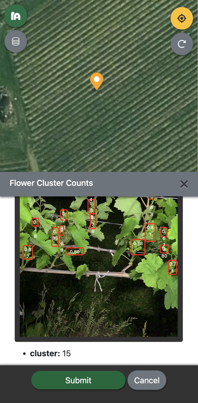 Cluster count result