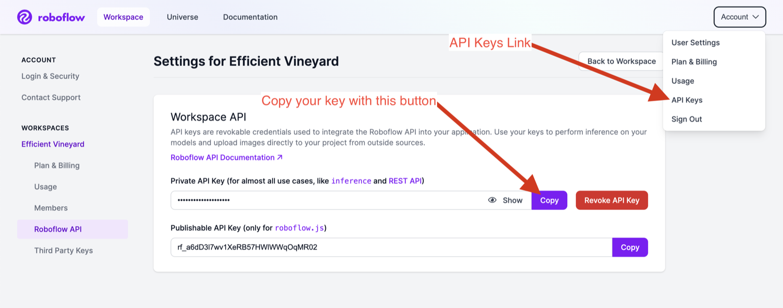 Roboflow API key and model URL