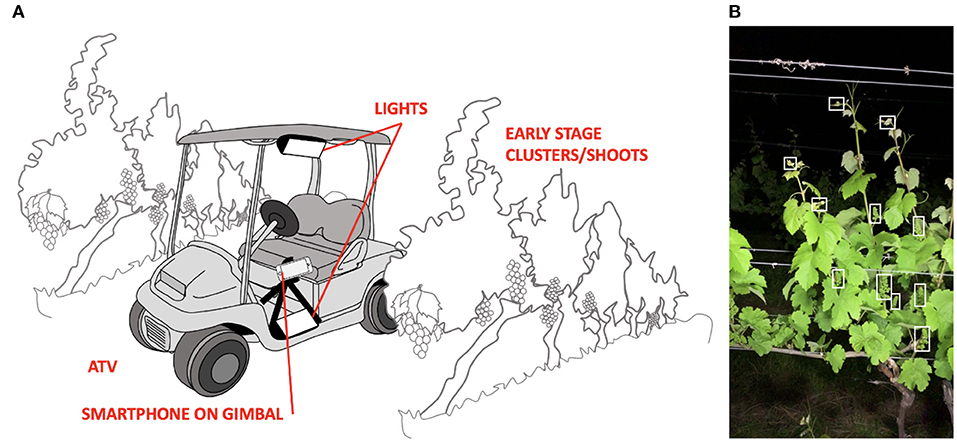 Recommended lighting setup